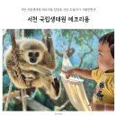 10월 서천그림책학교 | 서천 국립생태원 에코리움 입장료 식당 두돌아기 가볼만한곳