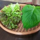 오가족발 이미지