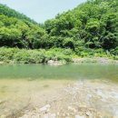 초록정원 계곡독채펜션 이미지