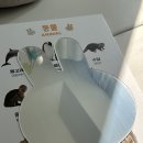 아띠 | 내돈내산! 터미타임 장난감 아띠래빗 아기 병풍 후기