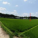 천남초등학교 이미지