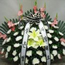 중앙성심요양병원 이미지