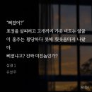 [로맨스/웹소설 리뷰] 섬경 - 유블루 (스포 O)