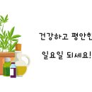 메디팜동아약국 이미지