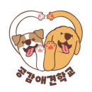 공감애견학교 이미지