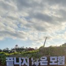 엑스포카센터 이미지