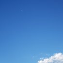 더인퓨전식당 이미지