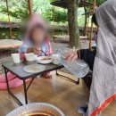 용정농원 | 창녕 용정농원 또 다녀왔어요 대구 근교 물놀이장 평상대여 취사가능