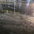 샹떼PC방 청주율량점 | 밀림의 왕이 되었습니다 [2025 9월]