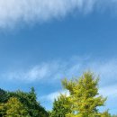 율곡약수터 이미지