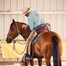 카우보이 이미지