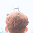 헤어빈 이미지
