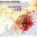그래픽바이러스