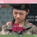 털뭉치 이미지