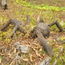 지리산둘레길 1코스 외평마을-회덕마을 : 지리산첫길 사무락다무락을 넘다 이미지