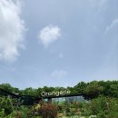 오랑주리스테이 이미지