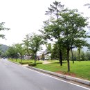 신길여행 이미지