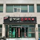 촌돼지 이미지