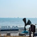 슬도 | 울산 슬도 유채꽃 실시간 개화 상황, 방문 후기 및 주차 정보