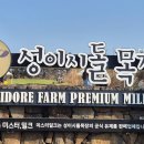 청보리목장 | 제주도민 여자친구의 서귀포 유채꽃 및 가파도 청보리 여행 추천 내돈내산 코스 ㅣ가파도,성이시돌목장...