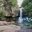 괴산약국 이미지