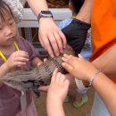 위드벅스 이미지