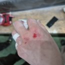 주식회사 지더블유글로벌 | [클라이밍 추천템2] 초보 탈출 못했지만, 아이템 또 가져와 봄