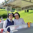 썬밸리 컨트리클럽 이미지