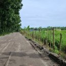 김순자농장 이미지