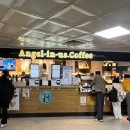 제주 공항 엔젤리너스: 현무암 흑임자 스노우, 쏠티땅콩라떼 먹은 후기(+롯데리아, 제주여행선물추천)