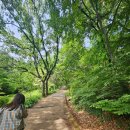 강화도 당일치기 여행: 전등사 → 고인돌 유적 → 강화 역사/자연사 박물관 → 강화평화전망대