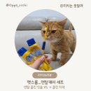 달달한 고양이 | 고양이 칫솔 치약 추천 | 페스룸 덴탈케어 xs 세트 사용 후기