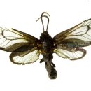 두리광택 이미지