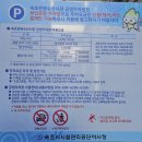 속초관광수산시장 내돈내산맛집 주차장 88순대국,세렝게티베이크샵,주가네감자옹심이팥칼국수