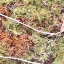 석화농장 이미지