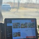 양평가든 | 양평카페 브런치 맛집 비마이가든(Bmy garden) 방문 후기