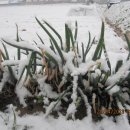 진악산농장 이미지