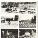 다수초등학교 이미지