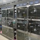 강남동물메디컬센터 이미지