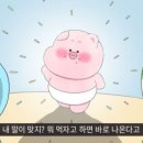 47이끌의원 이미지