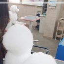개인정애견샵 이미지
