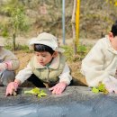 늘행복한농장 이미지