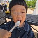 박씨점핑 이미지