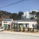 마마포레