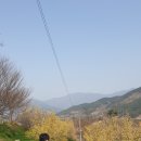 매직 펫 살롱 이미지