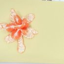 구로푸른학교 이미지