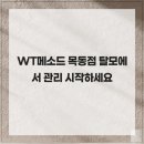 목동vip센터