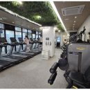 마인드휘트니스 이미지