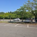 물향기공원 | 경기도 오산 가볼만한곳 산책 물향기수목원 주차요금 입장료