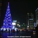 예수세계교회 앞 이미지